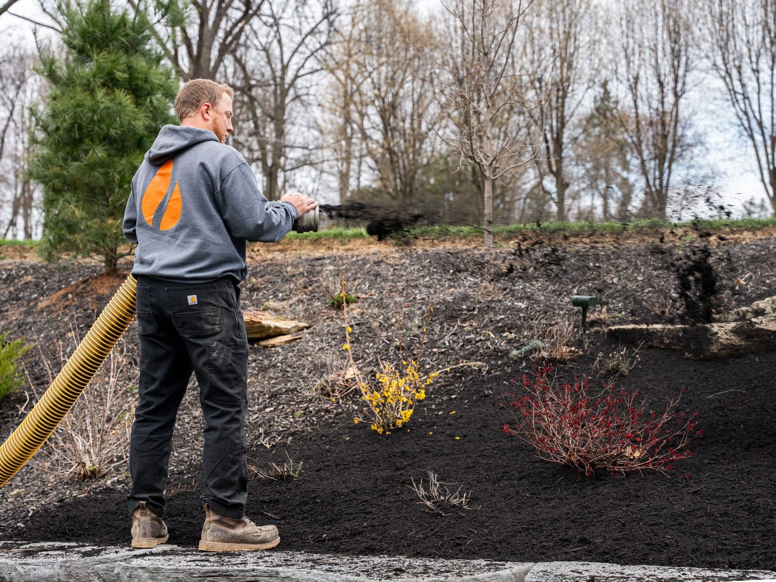 mulch blower hose application - Elements Landscape Management