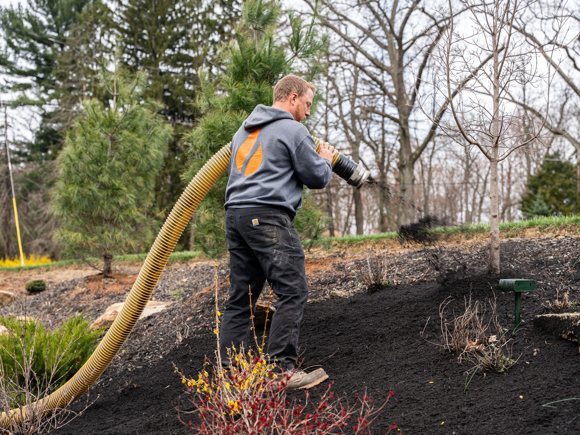 mulch spray tree planting - Elements Landscape Management