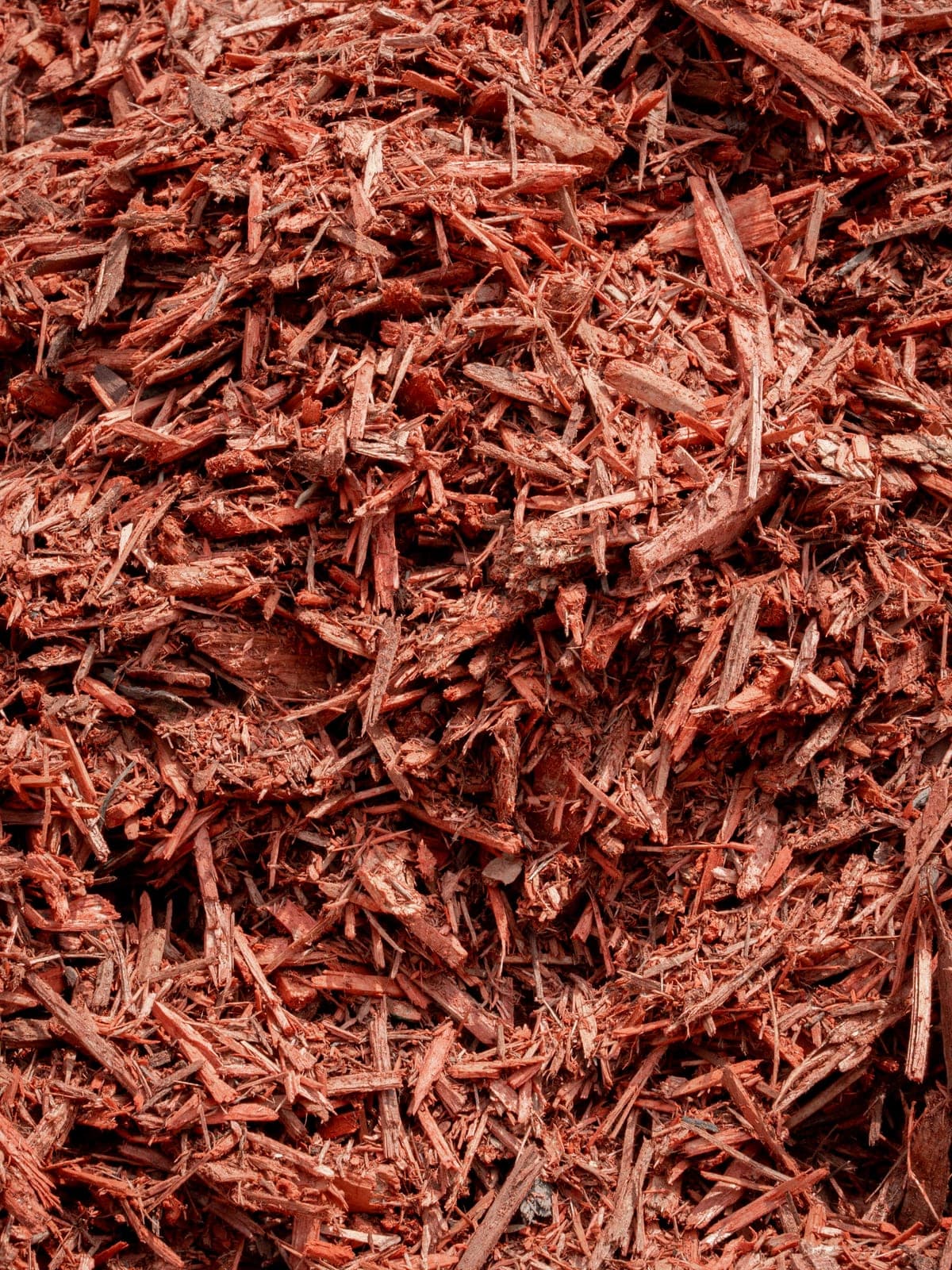 dyed red mulch - Elements Landscape Management