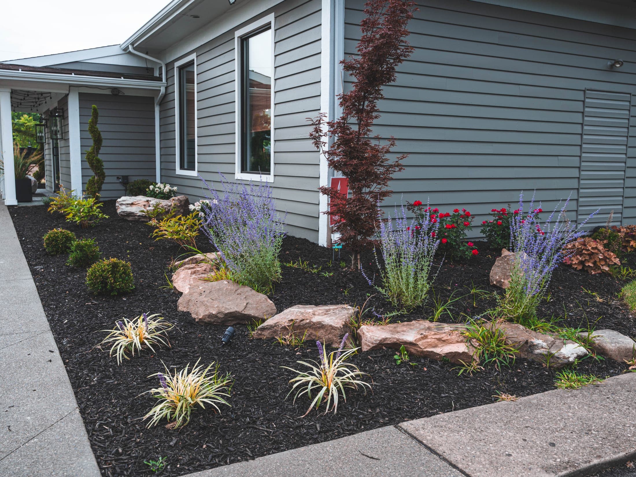 Commercial planting bed anchored with boulders