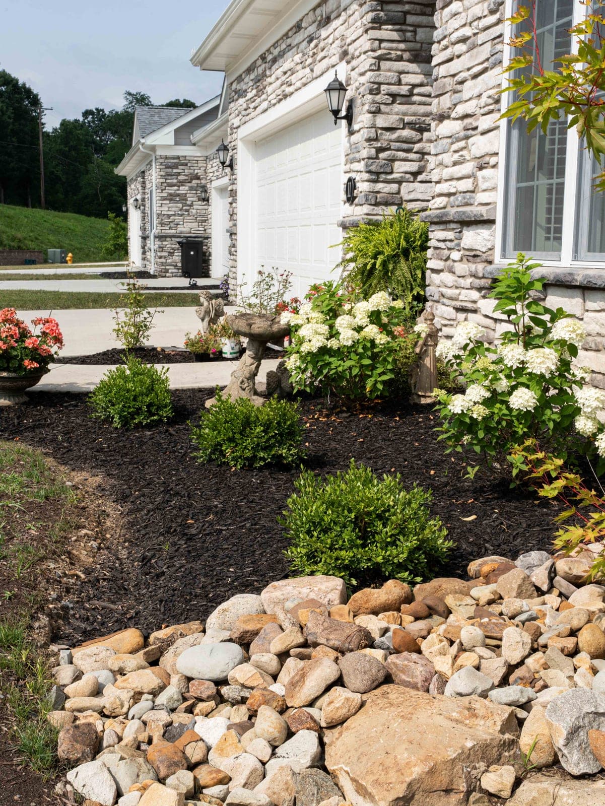 Foundation planting bed with hydrangeas along a home's front